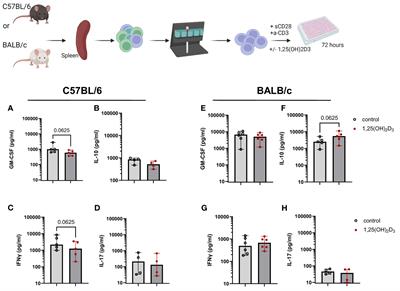 Strain specific differences in vitamin D3 response: impact on gut homeostasis